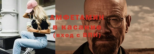 крисы Корсаков