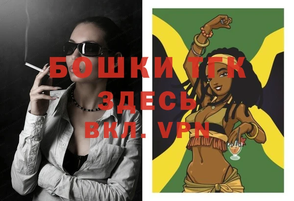 ECSTASY Болотное