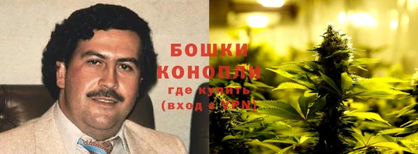 бошки Краснослободск