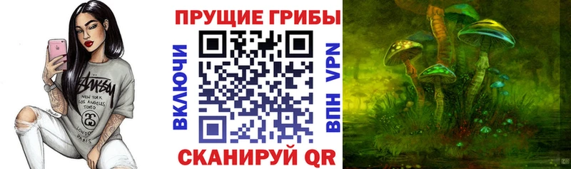 Галлюциногенные грибы ЛСД  Котельнич 